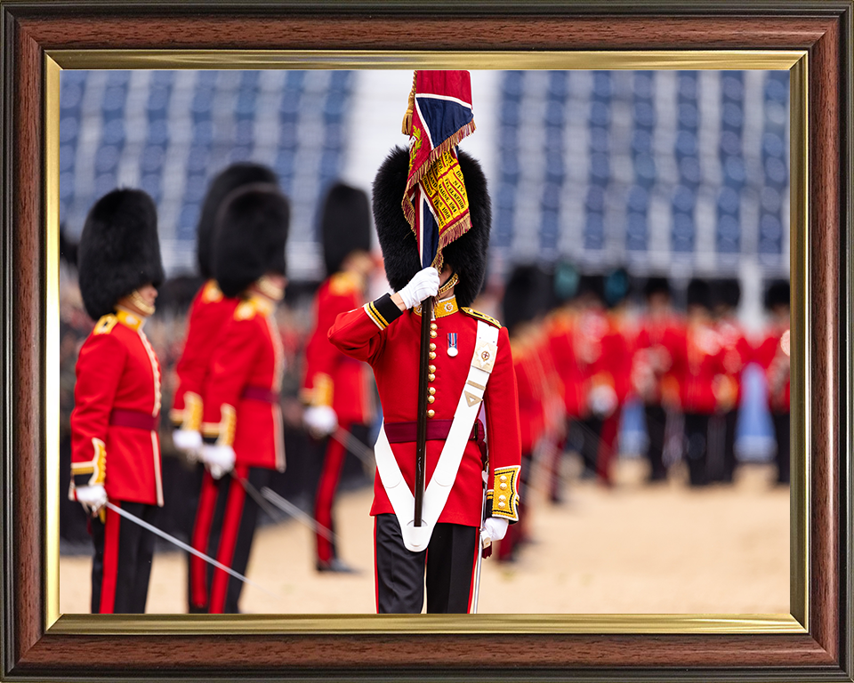 The Ensign of the Coldstream Guards Photo Print - British Army Hampshire Prints 10 x 8 Classic Frame No