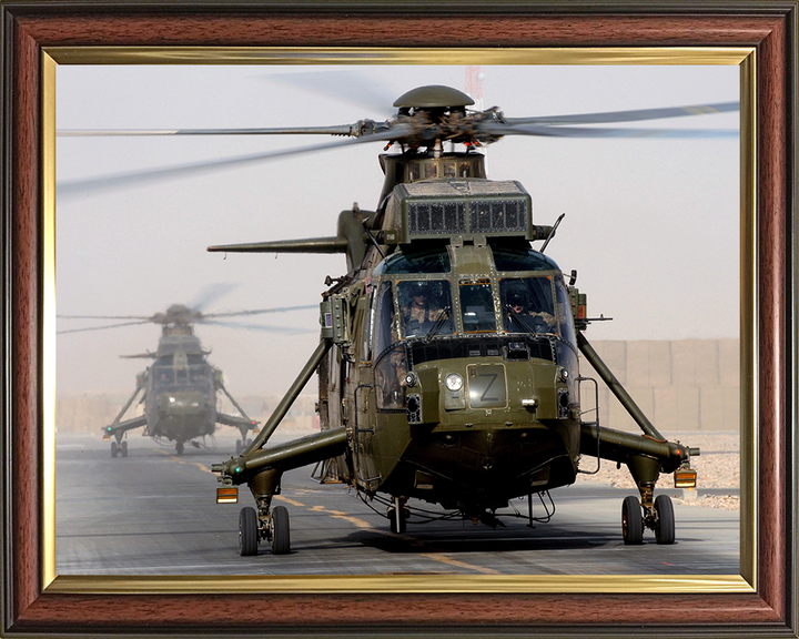 Sea King Mk4 Helicopter Take off from Camp Bastion 2011 Photo Print - Royal Navy Aircraft Posters, Prints, & Visual Artwork Hampshire Prints 10 x 8 Classic Frame No
