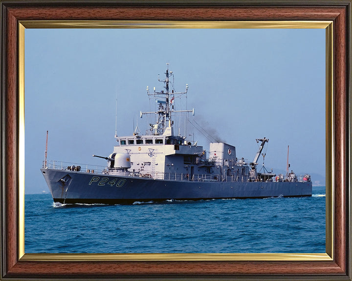 HMS Plover P240 | Photo Print | Framed Print | Peacock Class | Patrol Vessel | Royal Navy Hampshire Prints