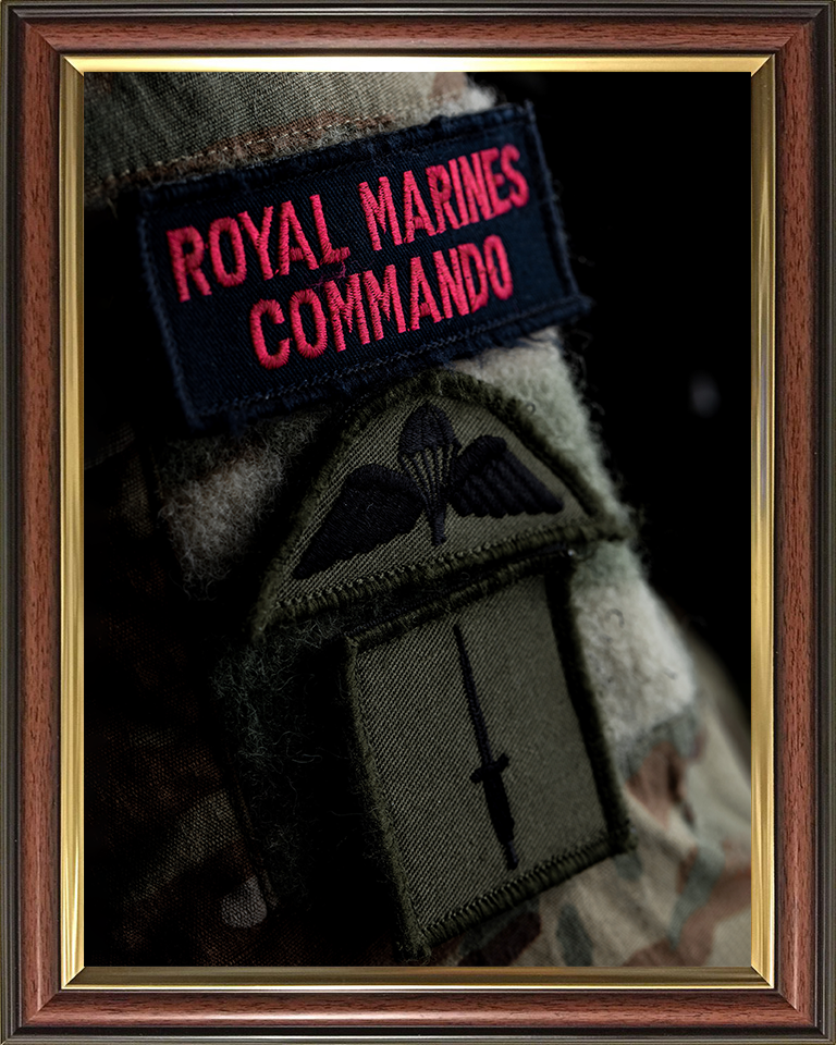 Royal Marines Commando Uniform Patches Closeup Photo Print Hampshire Prints 10 x 8 Classic Frame No