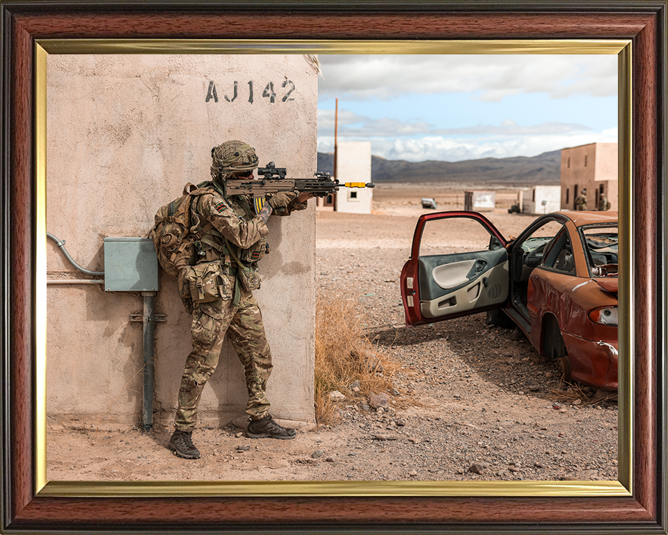 Rifleman with rifle in the supporting standing position Photo Print - British Army
