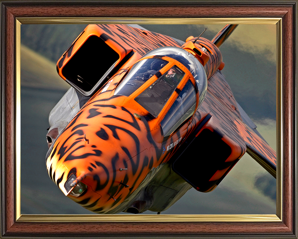 RAF Jaguar Final Flight with special Livery Photo Print - Royal Air Force Aircraft Posters, Prints, & Visual Artwork Hampshire Prints 10 x 8 Classic Frame No