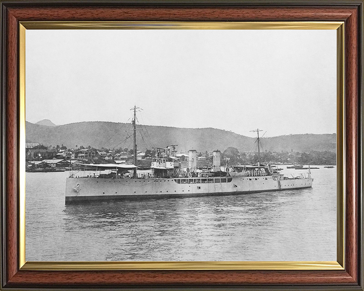 HMS Delphinium (1915) Royal Navy Arabis Class sloop Port Side View Photo Print Wall Art Posters, Prints, & Visual Artwork Hampshire Prints 10 x 8 Classic Frame No
