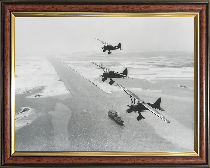 RAF Westland Lysanders over Suez canal 1940 Photo Print - Royal Air Force Aircraft Posters, Prints, & Visual Artwork Hampshire Prints 10 x 8 Classic Frame No