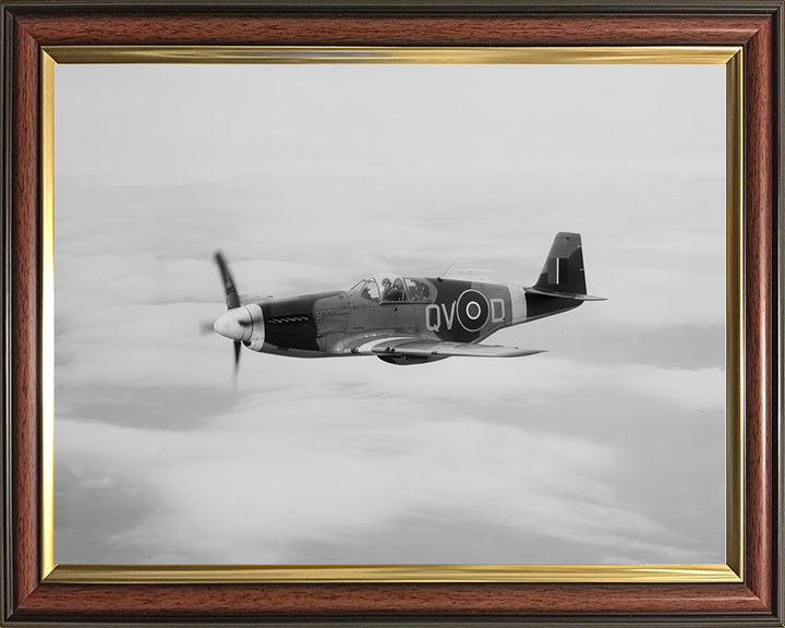 RAF Mustang III in Flight Photo Print - Royal Air Force Aircraft Hampshire Prints 10 x 8 Classic Frame No
