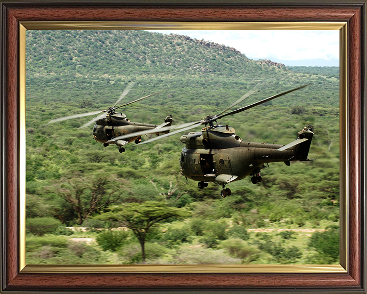 Two RAF Puma HC1 Helicopters in flight Photo Print - Royal Air Force Aircraft Hampshire Prints 10 x 8 Classic Frame No
