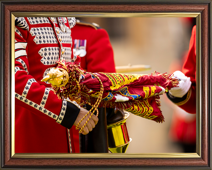 Coldstream Guards colour is unveiled Photo Print - British Army Hampshire Prints 10 x 8 Classic Frame No