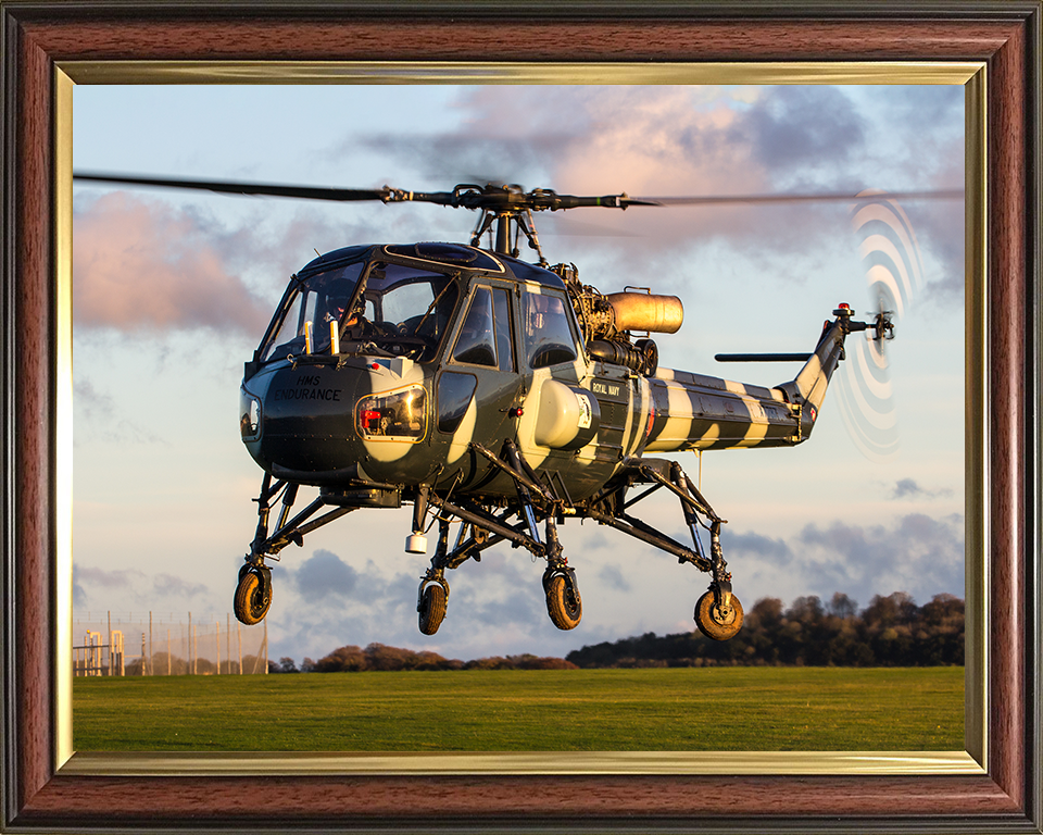 Westland Wasp HAS1 Helicopter in Flight at sunset 2015 Photo Print - Royal Navy Aircraft Posters, Prints, & Visual Artwork Hampshire Prints 10 x 8 Classic Frame No