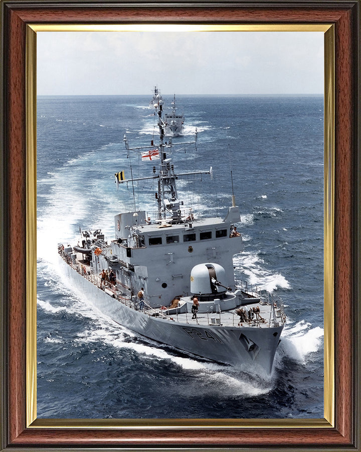 HMS Starling P241 Royal Navy Peacock class patrol vessel Photo Print or Framed Print - Hampshire Prints