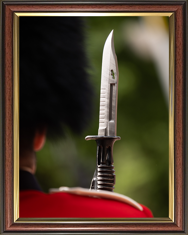 A Coldstream Guards Guardsman With Bayonet on Parade Photo Print – Guards Regiment Ceremonial Parade Wall Art, Military Decor Posters, Prints, & Visual Artwork Hampshire Prints 10 x 8 Classic Frame No