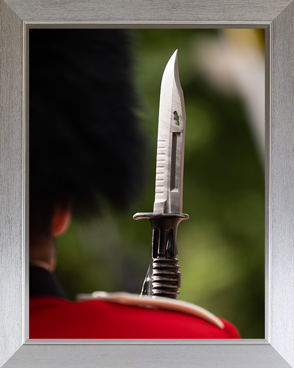 A Coldstream Guards Guardsman With Bayonet on Parade Photo Print – Guards Regiment Ceremonial Parade Wall Art, Military Decor Posters, Prints, & Visual Artwork Hampshire Prints 10 x 8 Silver Frame No