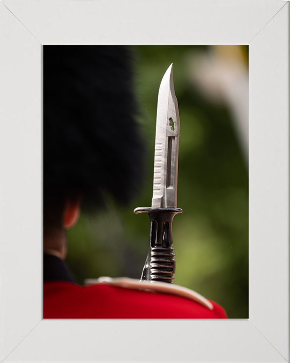 A Coldstream Guards Guardsman With Bayonet on Parade Photo Print – Guards Regiment Ceremonial Parade Wall Art, Military Decor Posters, Prints, & Visual Artwork Hampshire Prints 10 x 8 White Frame No