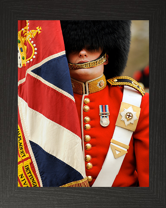 British Army Coldstream Guard with Regimental Colours Photo Print Wall Art Military Decor Posters, Prints, & Visual Artwork Hampshire Prints 10 x 8 Black Frame No