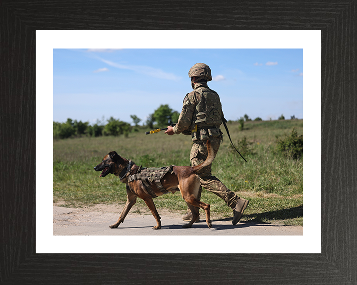 British Army Dog Handler on Patrol Photo Print Wall Art Military Decor Poster Posters, Prints, & Visual Artwork Hampshire Prints 10 x 8 Black Frame Yes