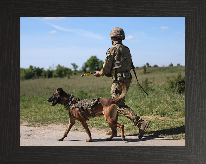 British Army Dog Handler on Patrol Photo Print Wall Art Military Decor Poster Posters, Prints, & Visual Artwork Hampshire Prints 10 x 8 Black Frame No
