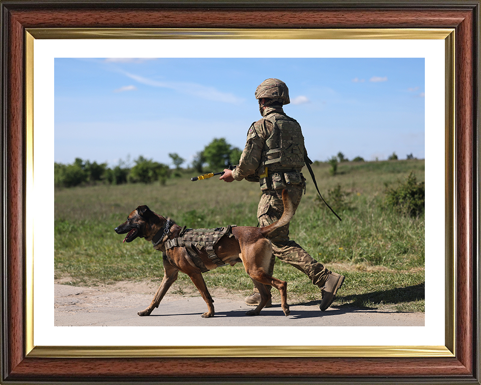 British Army Dog Handler on Patrol Photo Print Wall Art Military Decor Poster Posters, Prints, & Visual Artwork Hampshire Prints 10 x 8 Classic Frame Yes