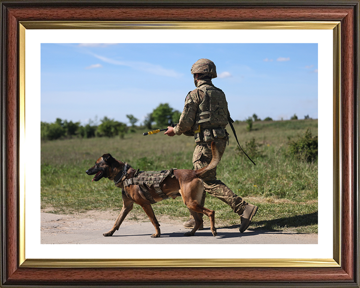 British Army Dog Handler on Patrol Photo Print Wall Art Military Decor Poster Posters, Prints, & Visual Artwork Hampshire Prints 10 x 8 Classic Frame Yes