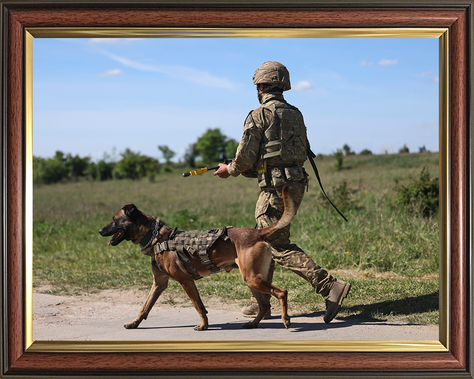 British Army Dog Handler on Patrol Photo Print Wall Art Military Decor Poster Posters, Prints, & Visual Artwork Hampshire Prints 10 x 8 Classic Frame No