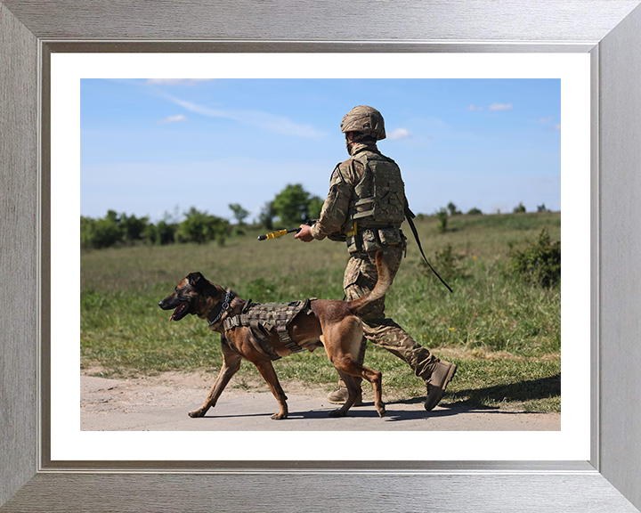 British Army Dog Handler on Patrol Photo Print Wall Art Military Decor Poster Posters, Prints, & Visual Artwork Hampshire Prints 10 x 8 Silver Frame Yes
