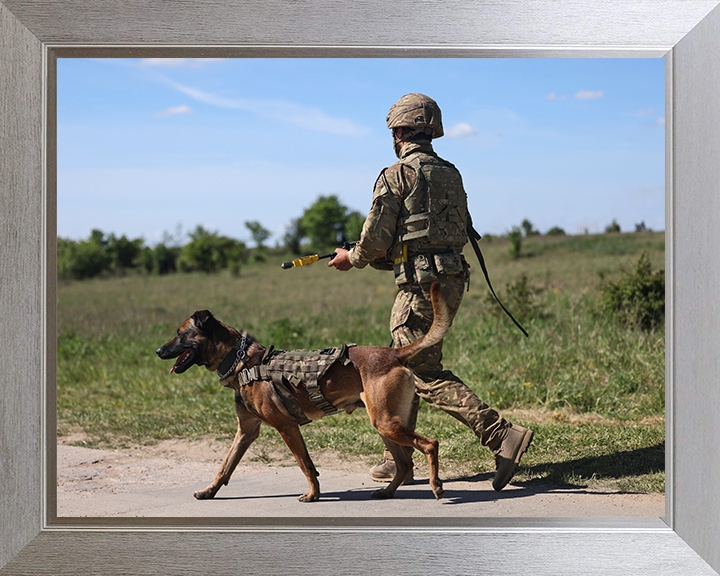 British Army Dog Handler on Patrol Photo Print Wall Art Military Decor Poster Posters, Prints, & Visual Artwork Hampshire Prints 10 x 8 Silver Frame No