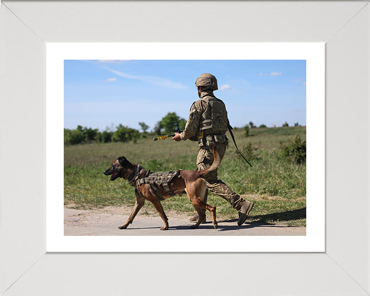British Army Dog Handler on Patrol Photo Print Wall Art Military Decor Poster Posters, Prints, & Visual Artwork Hampshire Prints 10 x 8 White Frame Yes