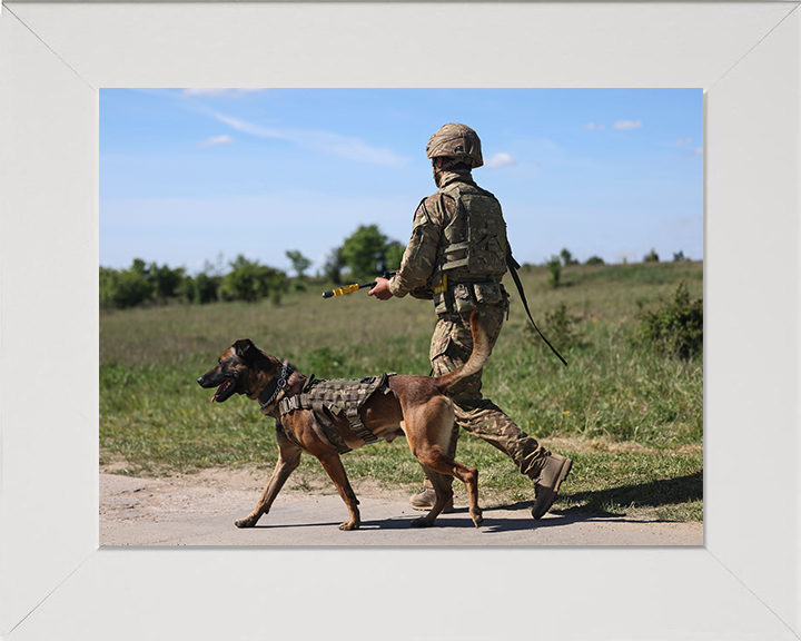 British Army Dog Handler on Patrol Photo Print Wall Art Military Decor Poster Posters, Prints, & Visual Artwork Hampshire Prints 10 x 8 White Frame No