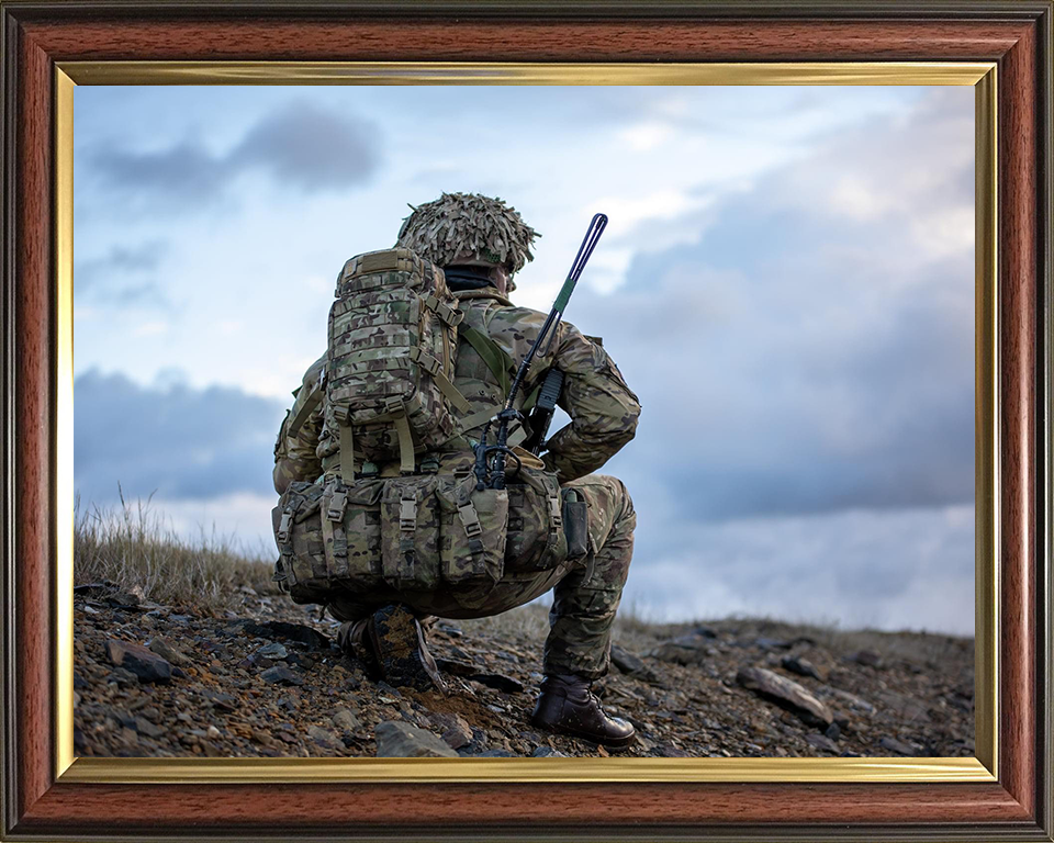 British Army Grenadier Guardsman Portrait Photo Print Wall Art Military Decor Poster Posters, Prints, & Visual Artwork Hampshire Prints 10 x 8 Classic Frame No