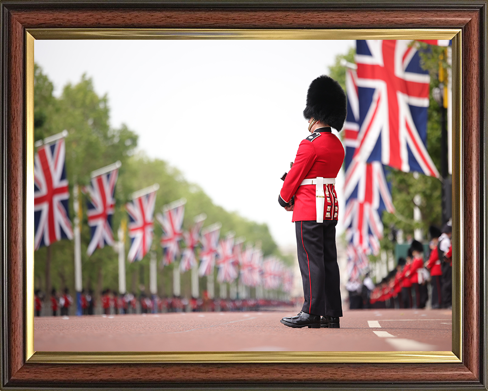 British Army Guardsman on The Mall London Photo Print Wall Art Military Decor Posters, Prints, & Visual Artwork Hampshire Prints 10 x 8 Classic Frame No