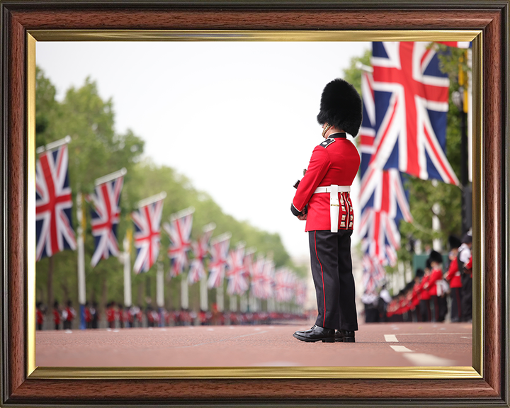 British Army Guardsman on The Mall London Photo Print Wall Art Military Decor Posters, Prints, & Visual Artwork Hampshire Prints 10 x 8 Classic Frame No
