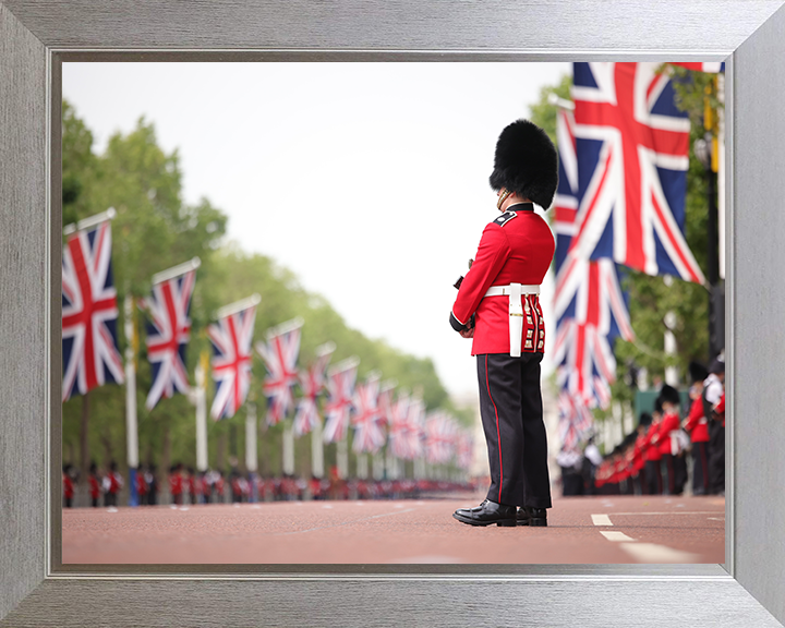 British Army Guardsman on The Mall London Photo Print Wall Art Military Decor Posters, Prints, & Visual Artwork Hampshire Prints 10 x 8 Silver Frame No