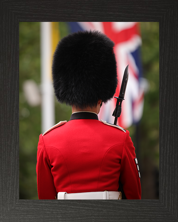 A Guardsman on The Mall London Photo Print – Guards Regiment Wall Art, Military Decor Posters, Prints, & Visual Artwork Hampshire Prints 10 x 8 Black Frame No