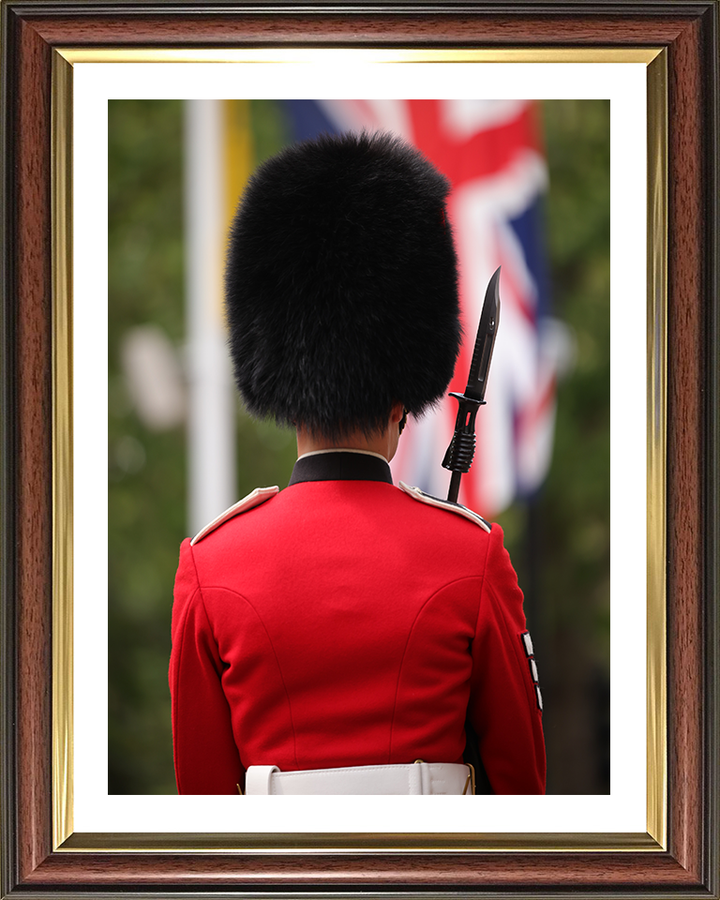 A Guardsman on The Mall London Photo Print – Guards Regiment Wall Art, Military Decor Posters, Prints, & Visual Artwork Hampshire Prints 10 x 8 Classic Frame Yes
