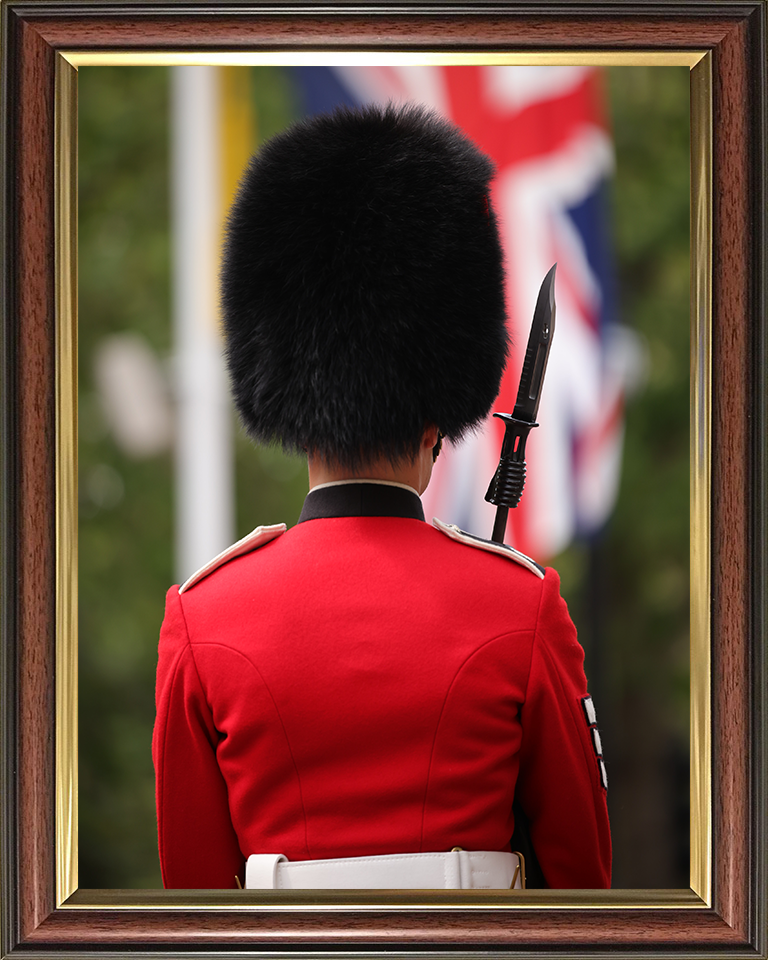 A Guardsman on The Mall London Photo Print – Guards Regiment Wall Art, Military Decor Posters, Prints, & Visual Artwork Hampshire Prints 10 x 8 Classic Frame No