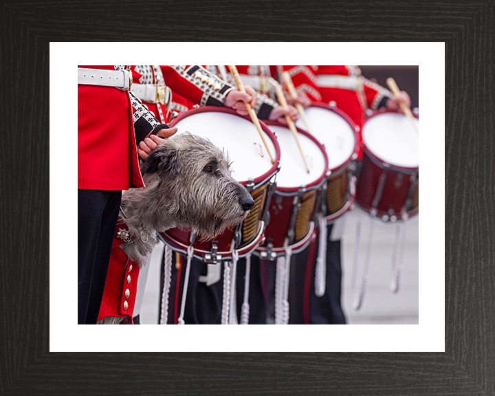 Irish Guards Drummers with regimental mascot Séamus Photo Print - British Army Posters, Prints, & Visual Artwork Hampshire Prints 10 x 8 Black Frame Yes