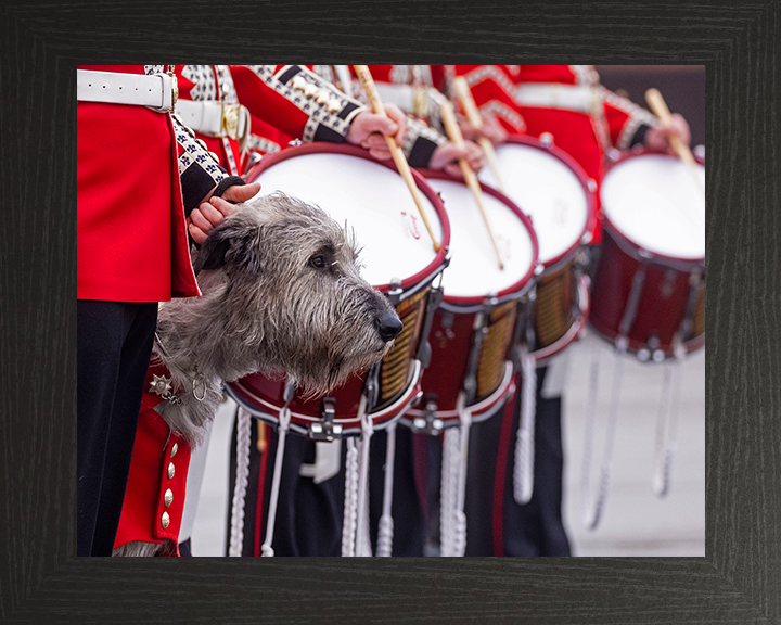 Irish Guards Drummers with regimental mascot Séamus Photo Print - British Army Posters, Prints, & Visual Artwork Hampshire Prints 10 x 8 Black Frame No