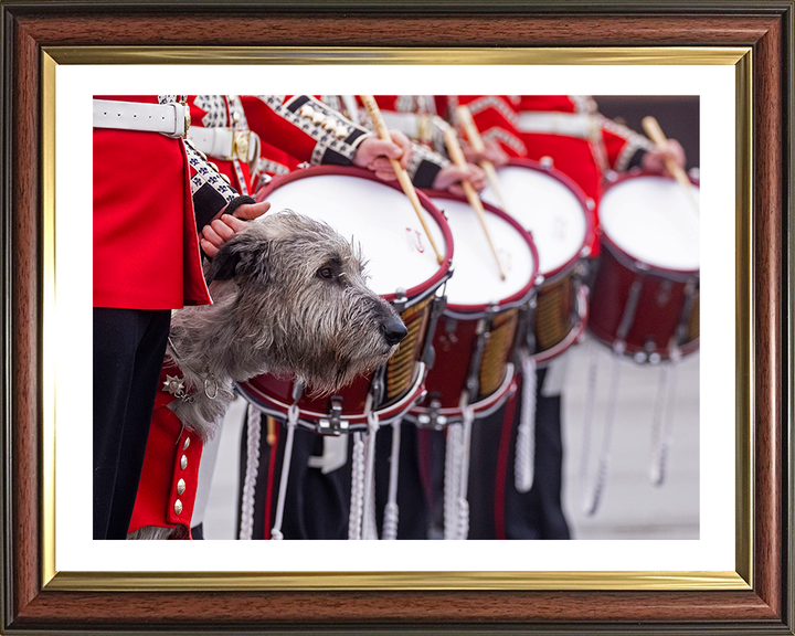 Irish Guards Drummers with regimental mascot Séamus Photo Print - British Army Posters, Prints, & Visual Artwork Hampshire Prints 10 x 8 Classic Frame Yes