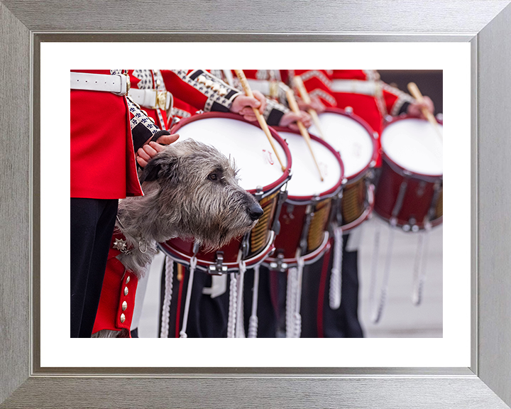Irish Guards Drummers with regimental mascot Séamus Photo Print - British Army Posters, Prints, & Visual Artwork Hampshire Prints 10 x 8 Silver Frame Yes