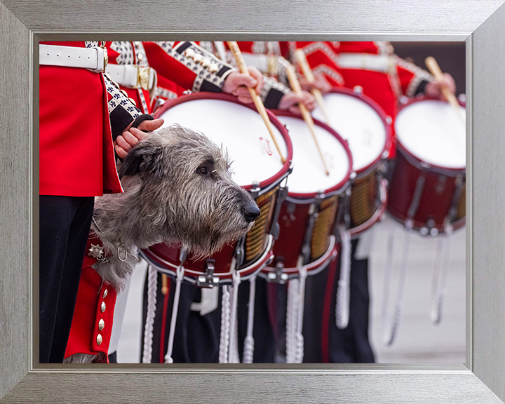 Irish Guards Drummers with regimental mascot Séamus Photo Print - British Army Posters, Prints, & Visual Artwork Hampshire Prints 10 x 8 Silver Frame No