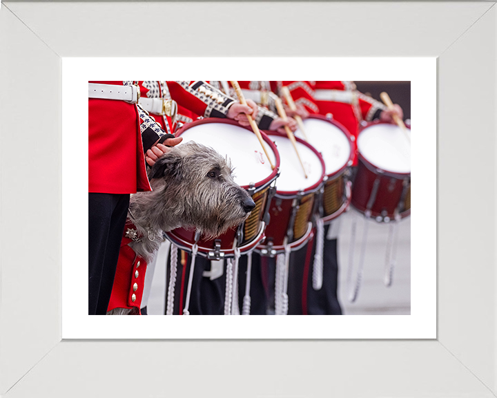 Irish Guards Drummers with regimental mascot Séamus Photo Print - British Army Posters, Prints, & Visual Artwork Hampshire Prints 10 x 8 White Frame Yes