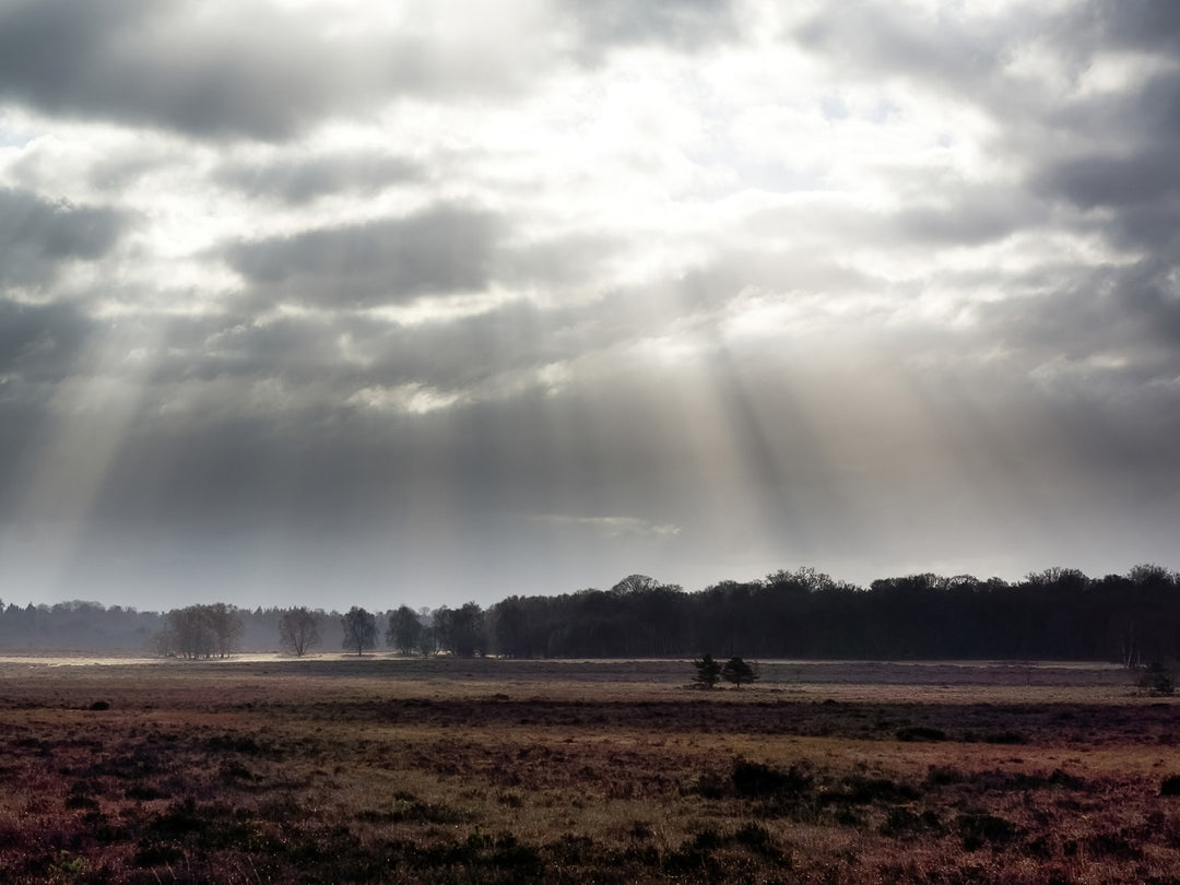 Light rays through the clouds in the New Forest Hampshire Photo Print - Canvas - Framed Photo Print - Hampshire Prints