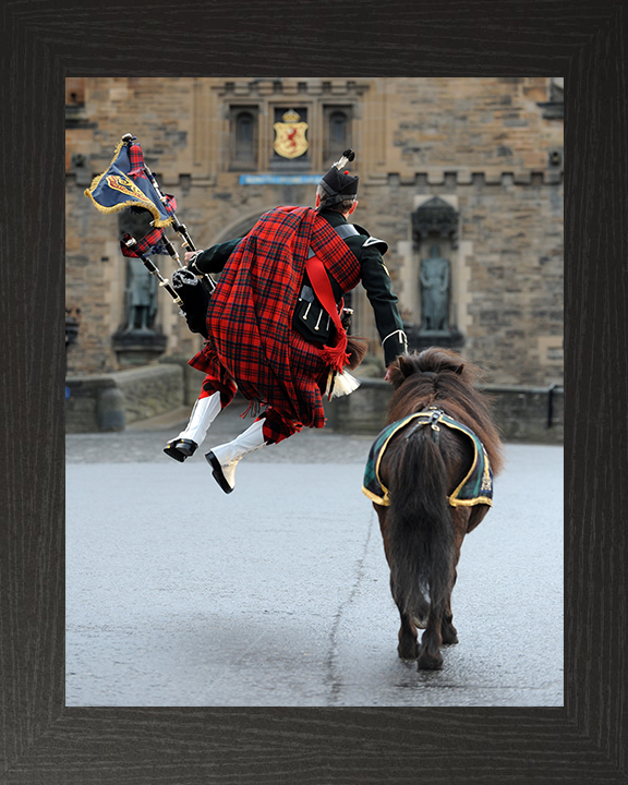 Royal Regiment of Scotland Mascot and Crossed Swords Piper Photo Print - British Army Posters, Prints, & Visual Artwork Hampshire Prints 10 x 8 Black Frame No