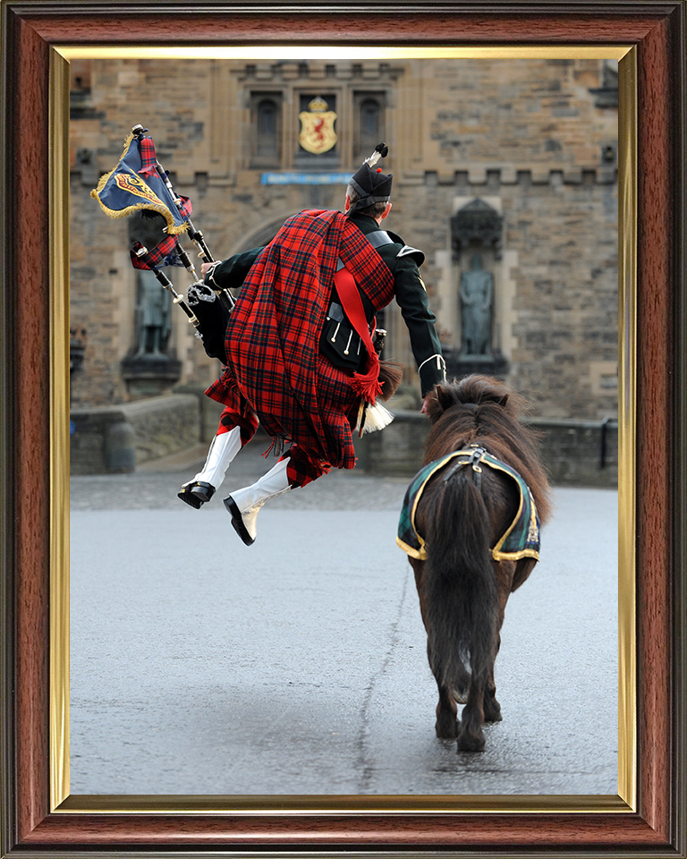 Royal Regiment of Scotland Mascot and Crossed Swords Piper Photo Print - British Army Posters, Prints, & Visual Artwork Hampshire Prints 10 x 8 Classic Frame No