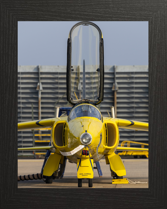 RAF Yellow Folland Gnat Head-On Waddington March 2024