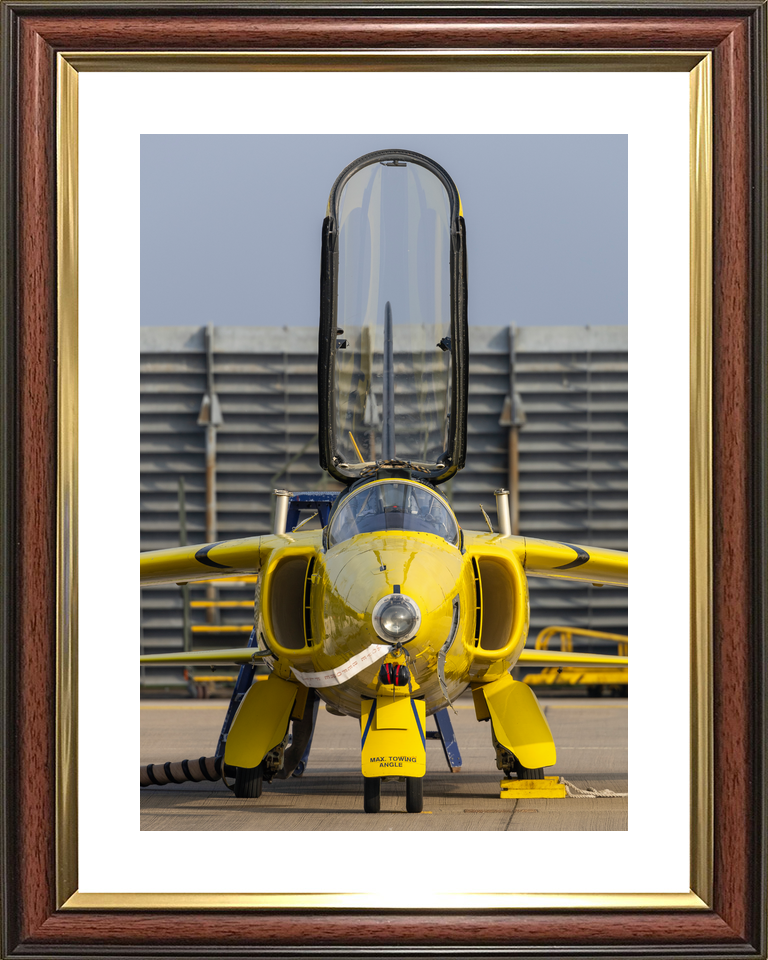RAF Yellow Folland Gnat Head-On Waddington March 2024