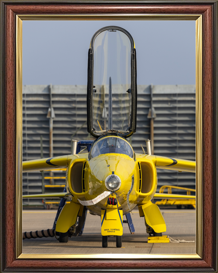 RAF Yellow Folland Gnat Head-On Waddington March 2024