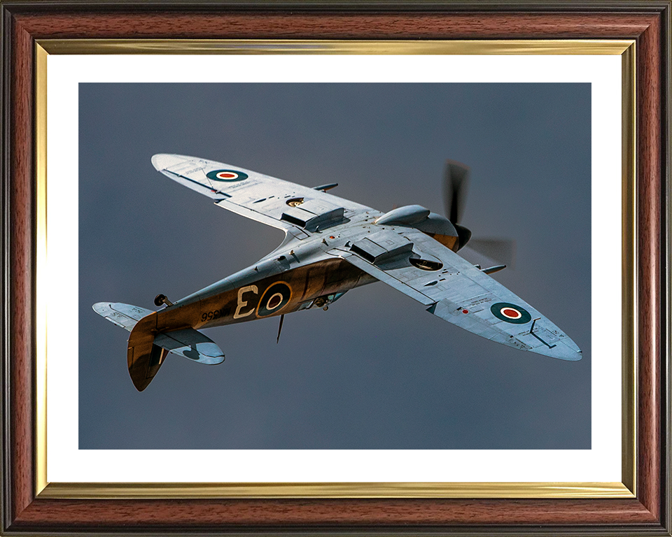RAF Supermarine Spitfire in flight Photo Print - Royal Air Force Aircraft Posters, Prints, & Visual Artwork Hampshire Prints 10 x 8 Classic Frame Yes