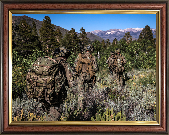 Royal Marines on Patrol in California 2025 Photo Print - 45 Commando Posters, Prints, & Visual Artwork Hampshire Prints 10 x 8 Classic Frame No