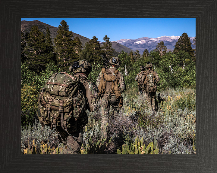 Royal Marines on Patrol in California 2025 Photo Print - 45 Commando Posters, Prints, & Visual Artwork Hampshire Prints 10 x 8 Black Frame No
