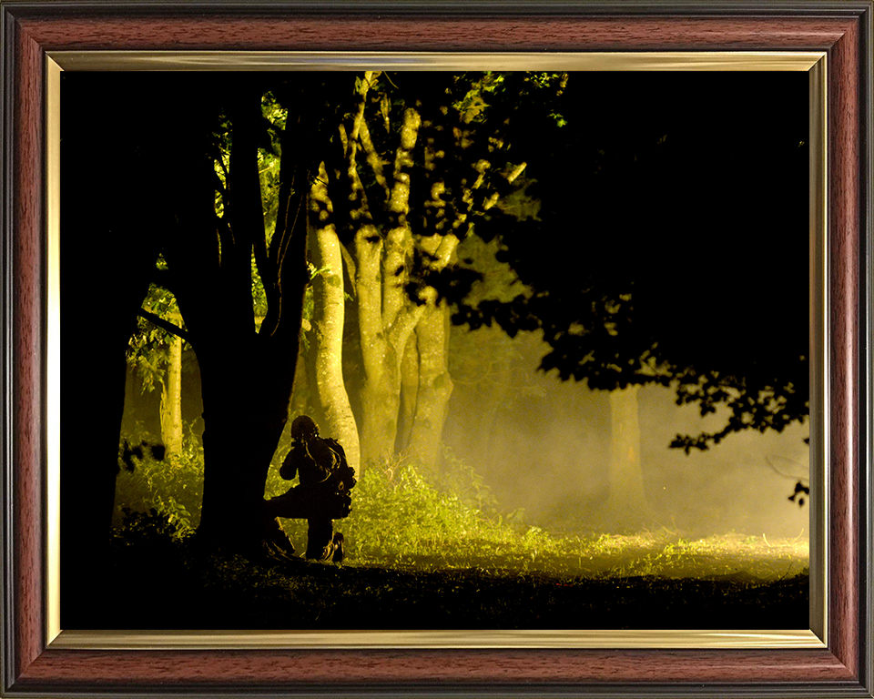 British Army Soldier Woodland Silhouette Photo Print Wall Art Military Decor Posters, Prints, & Visual Artwork Hampshire Prints 10 x 8 Classic Frame No