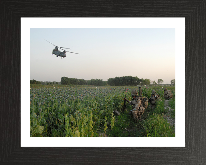 Soldiers in an Afghan poppy field Photo Print – British Army Wall Art, Military Decor Posters, Prints, & Visual Artwork Hampshire Prints 10 x 8 Black Frame Yes